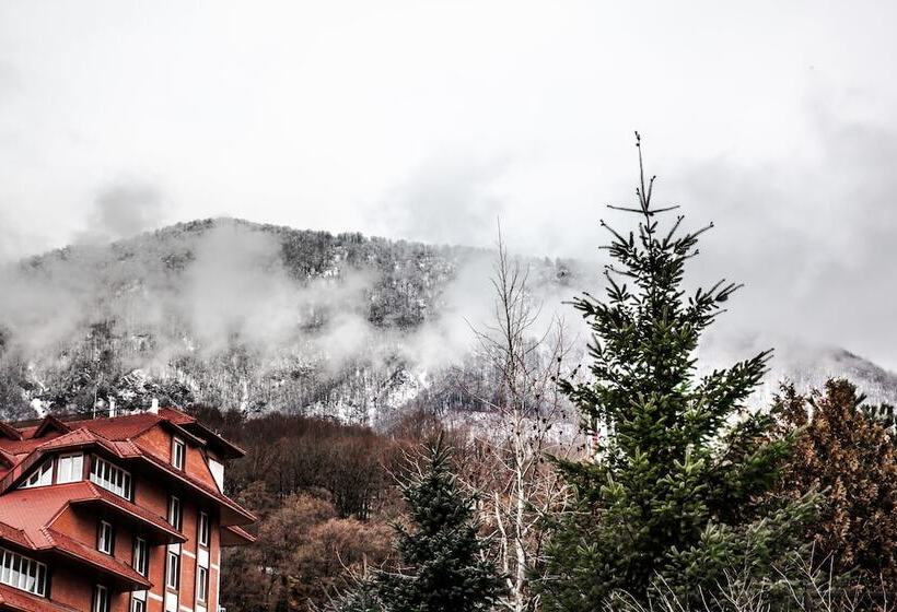 בית מלון כפרי Alm House