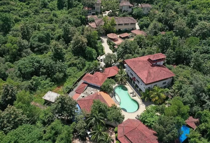 ホテル Amritara Aura Resort & Spa
