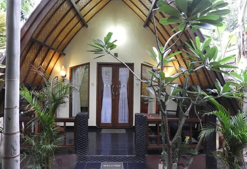 פנסיון Toro Toro Bungalow