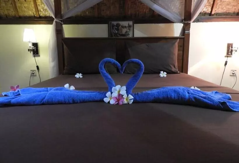 ペンション Toro Toro Bungalow