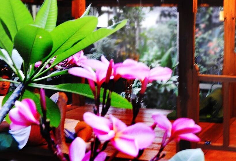 פנסיון Toro Toro Bungalow