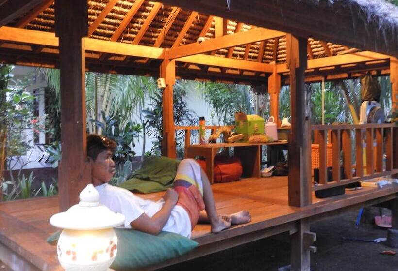 פנסיון Toro Toro Bungalow