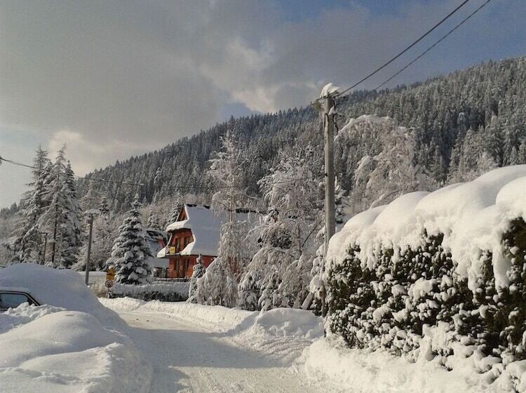 Пансион Willa Pod Banderą