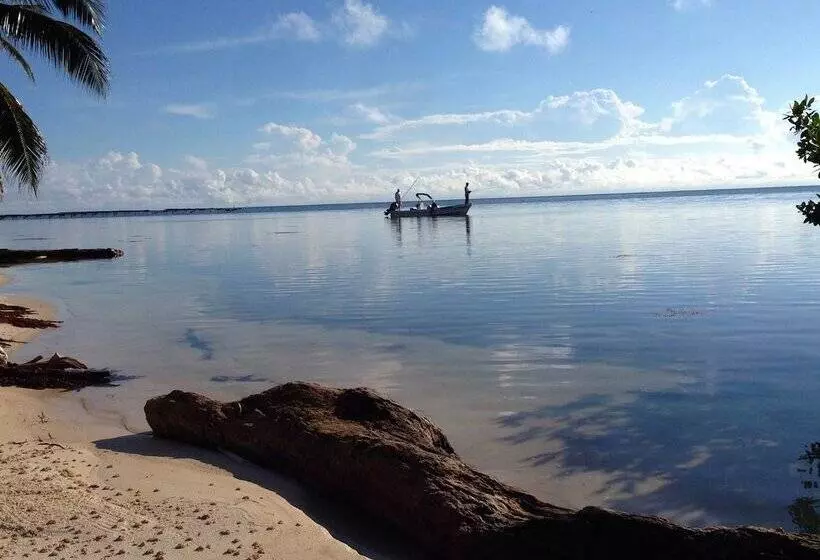 Turtle Beach Cottages