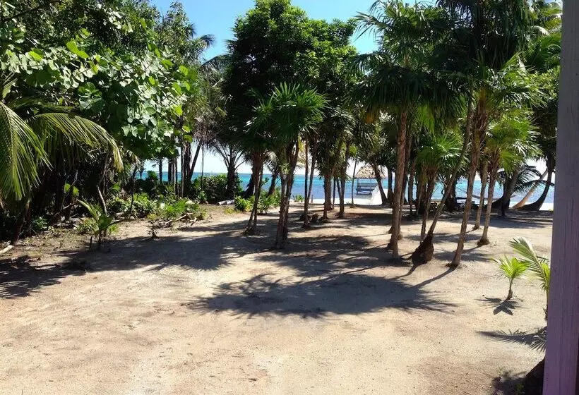 Turtle Beach Cottages