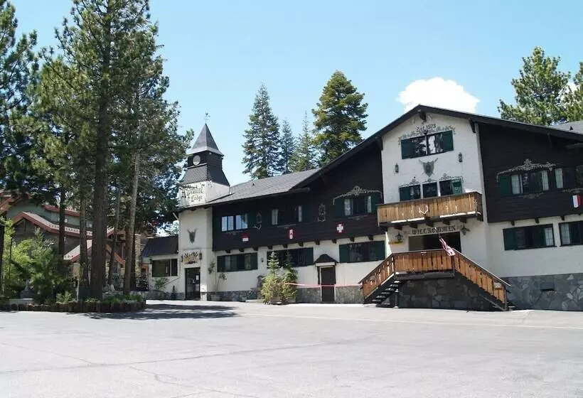 فندق Alpenhof Lodge