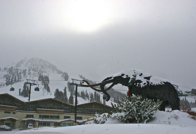 هتل Alpenhof Lodge