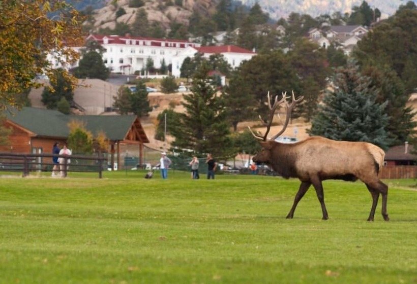 هتل Alpine Trail Ridge Inn