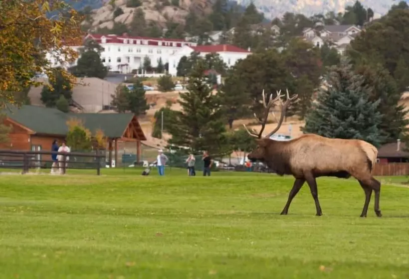 酒店 Alpine Trail Ridge Inn
