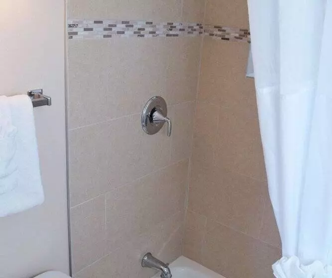 酒店 Alpine Trail Ridge Inn