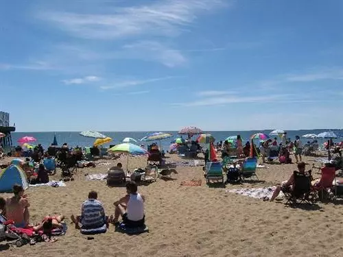 호텔 Atlantic Birches Inn