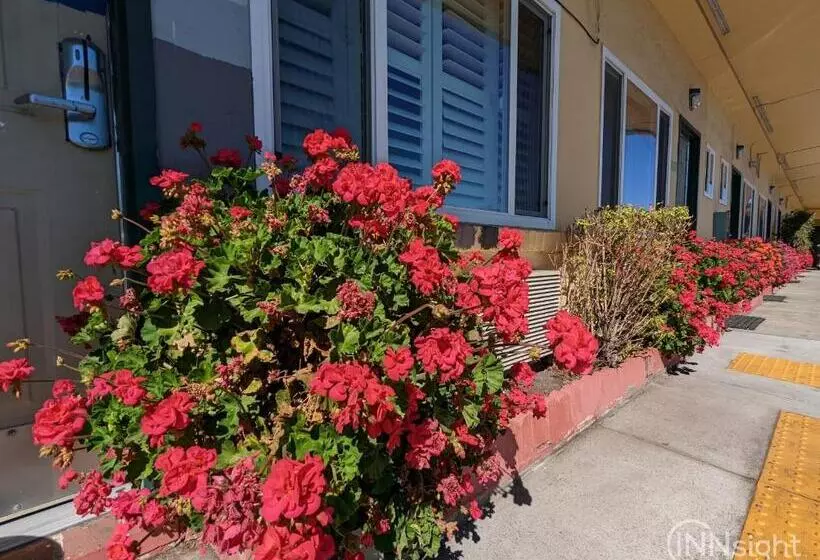 Мотель Deluxe Inn