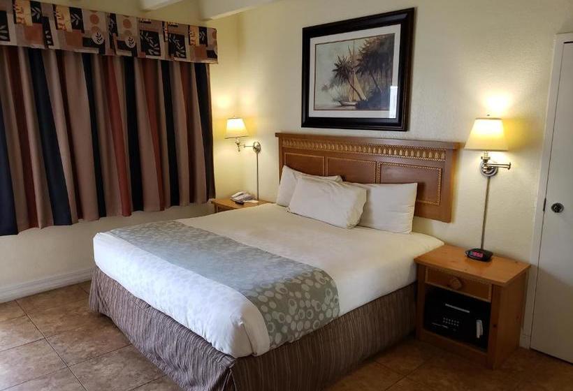 فندق على الطريق Oceanfront Inn And Suites Ormond