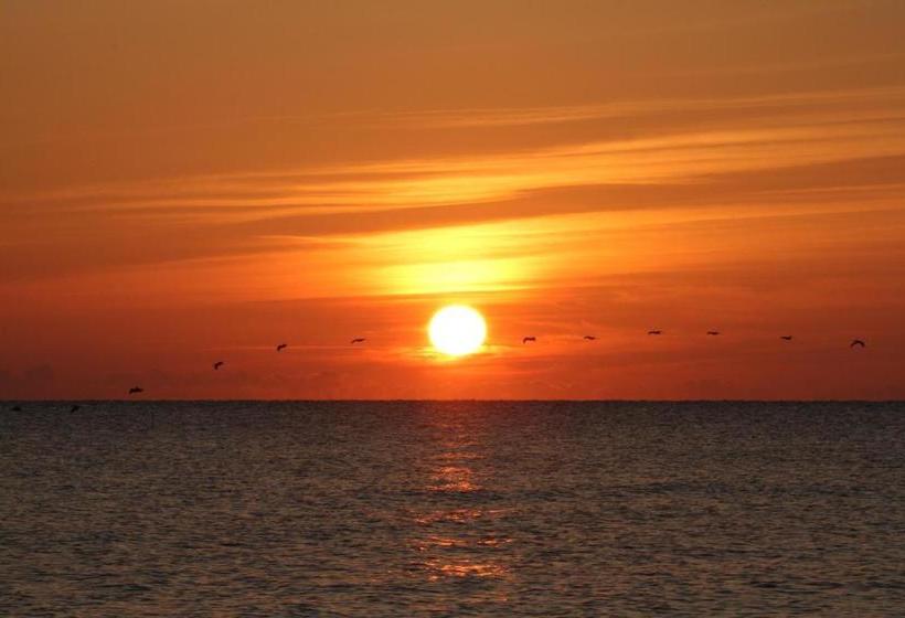 فندق على الطريق Oceanfront Inn And Suites Ormond