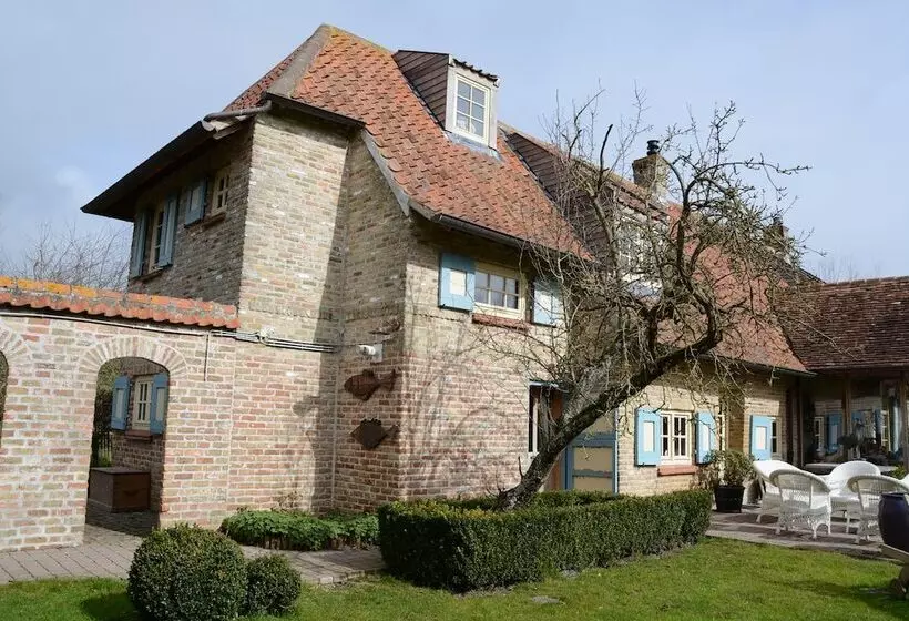 B&b De Meidoorn