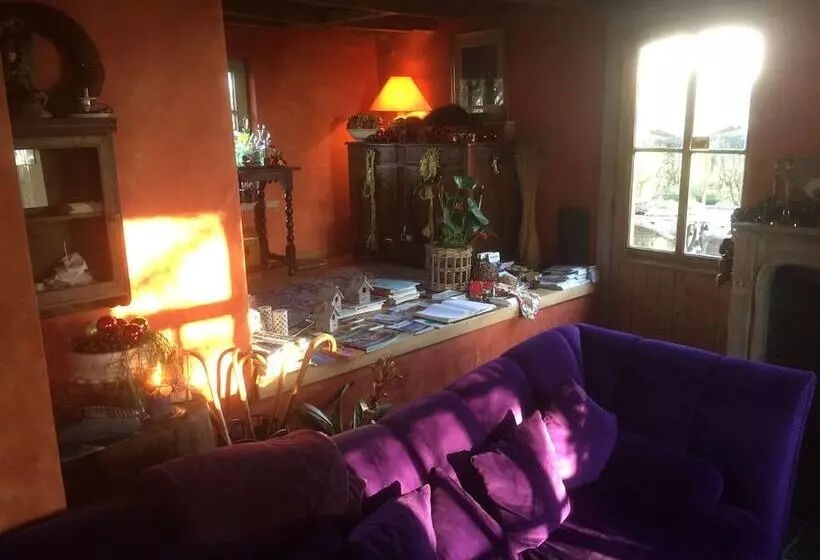 B&b De Meidoorn