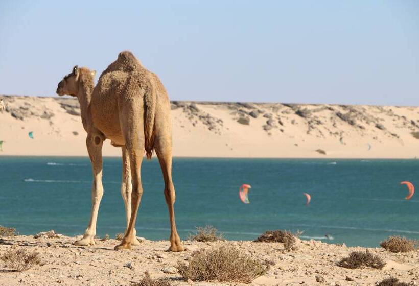 酒店 Dakhla Camp