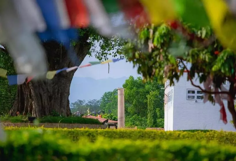 هتل Siddhartha Guest House