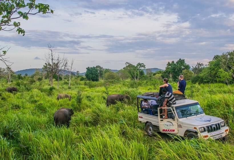 فندق Sigiri La Veranda Lodge