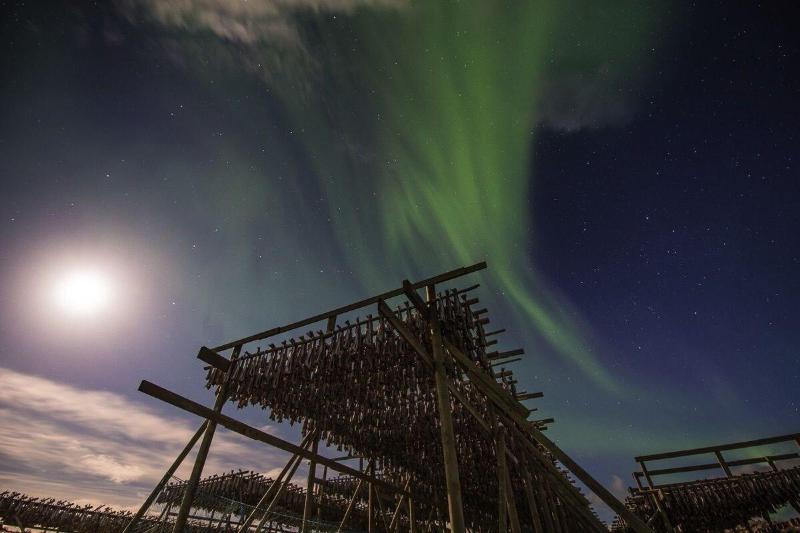 פנסיון Brygga Restaurant & Room