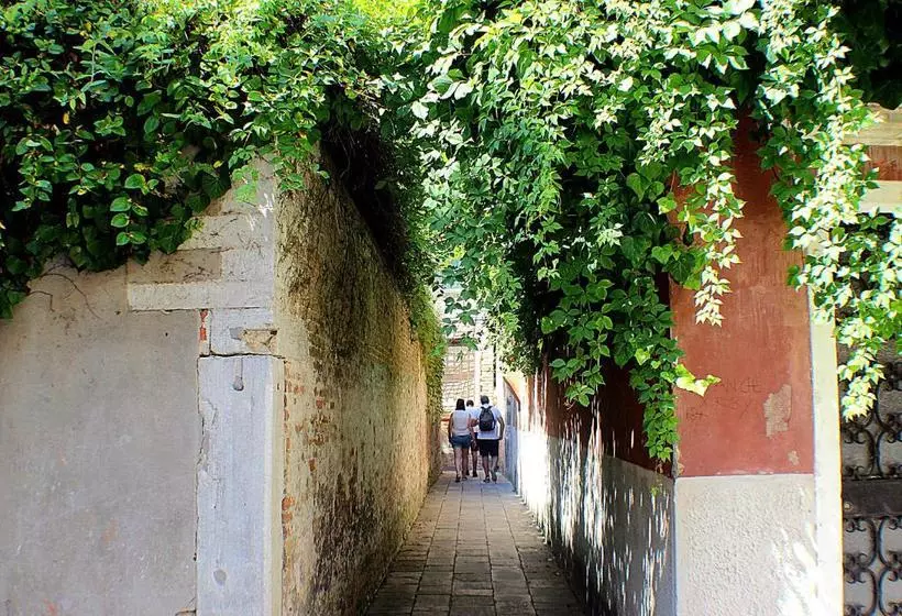 Pensione Silver Star Guest House