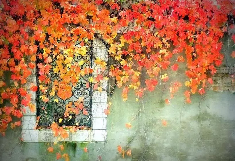 Pensione Silver Star Guest House