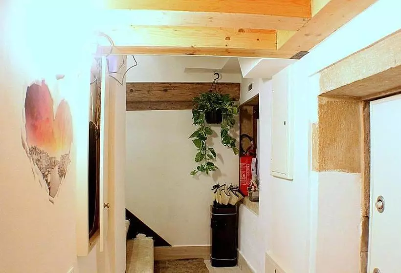 Pensione Silver Star Guest House