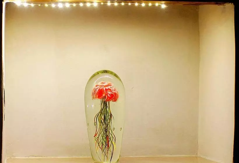 Pensione Silver Star Guest House