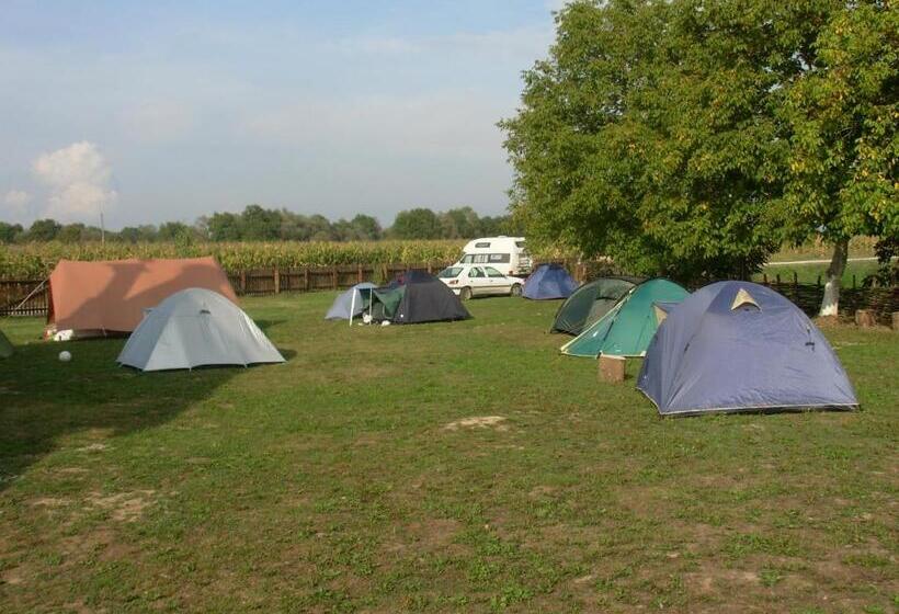 膳宿费 Tradicije Cigoc