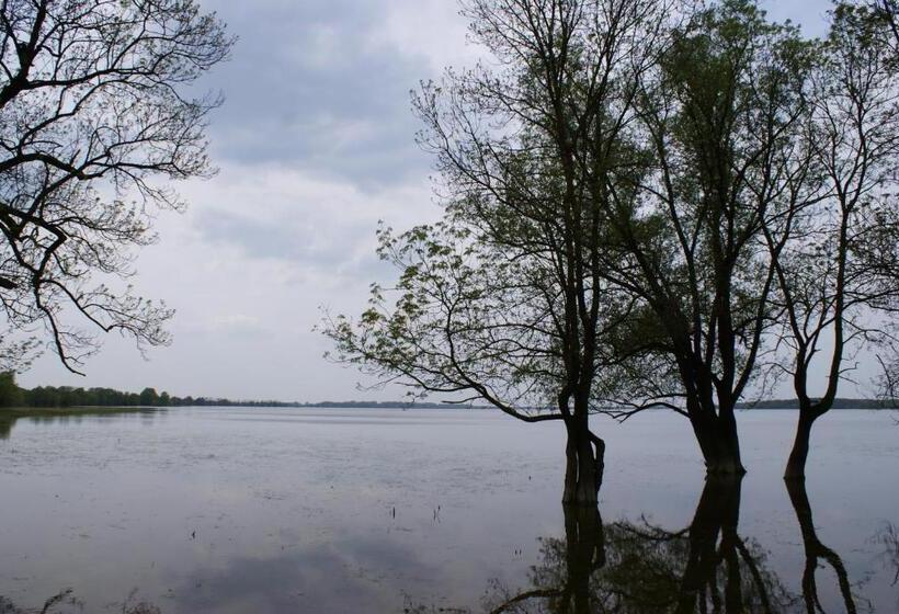 膳宿费 Tradicije Cigoc