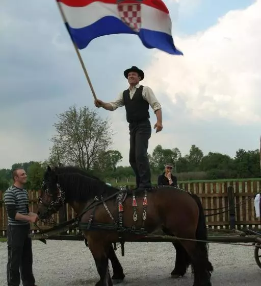 Majatalo Tradicije Cigoc