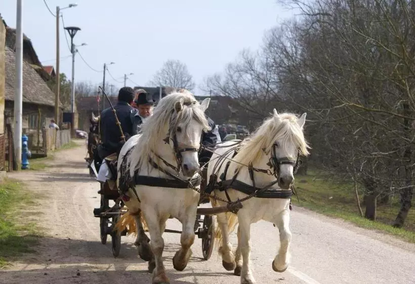 Majatalo Tradicije Cigoc