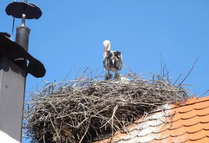 Majatalo Tradicije Cigoc