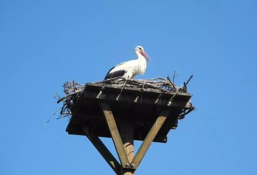Majatalo Tradicije Cigoc