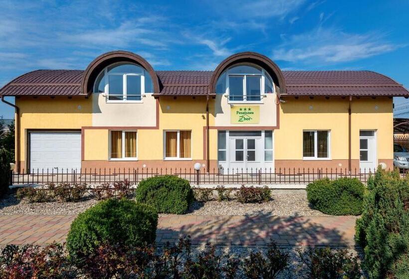 Pensiunea Zbor 1