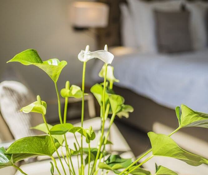 Bed and Breakfast Aquarand