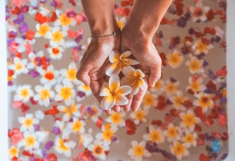 ベッドアンドブレックファースト Lovina Palace