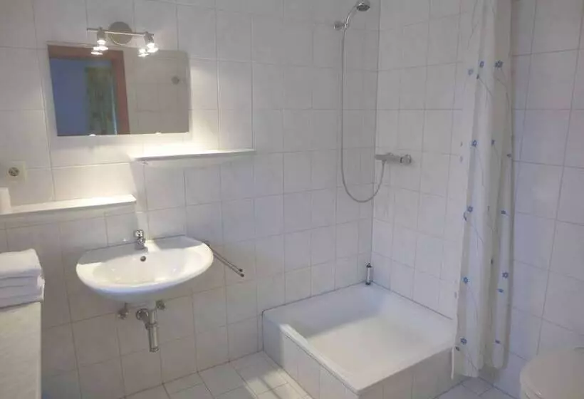 Buchauer Tirol Landhaus Buchauer