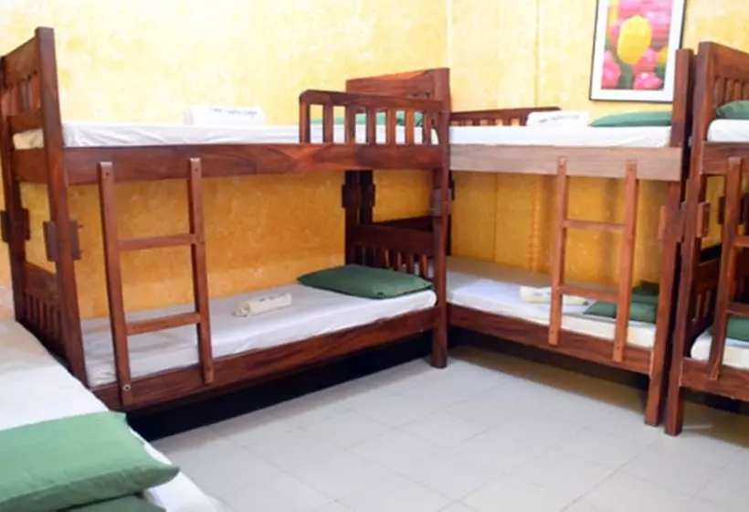 ホテル Casa Teofila Lodge