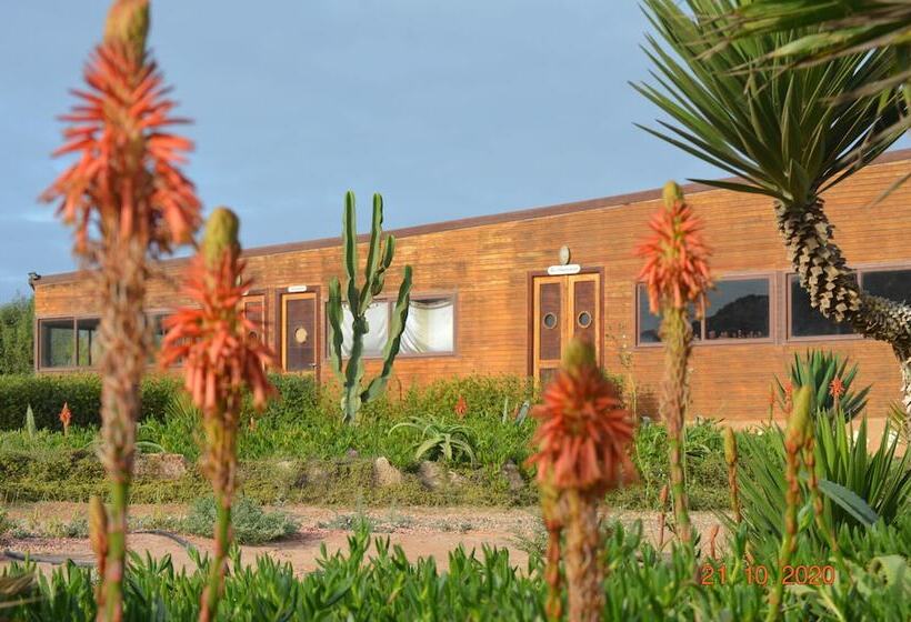 فندق Dakhla Kitesurf World