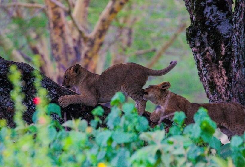 هتل Lake Nakuru Lodge