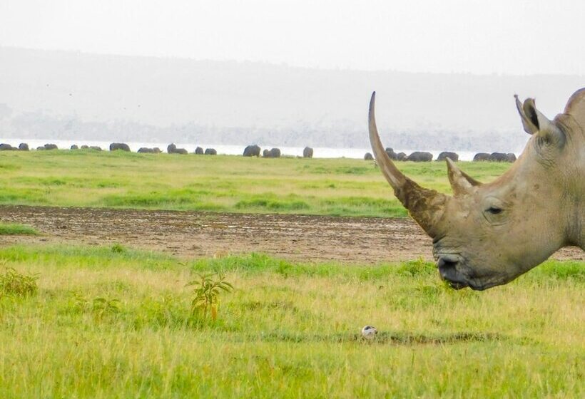 هتل Lake Nakuru Lodge