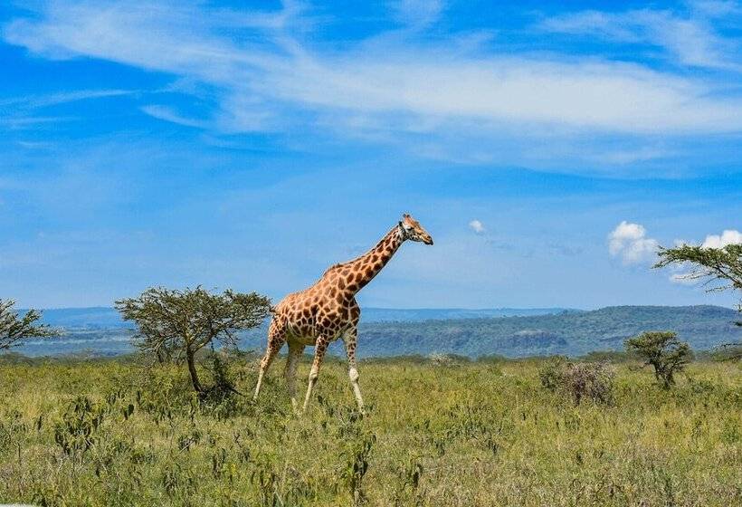 هتل Lake Nakuru Lodge