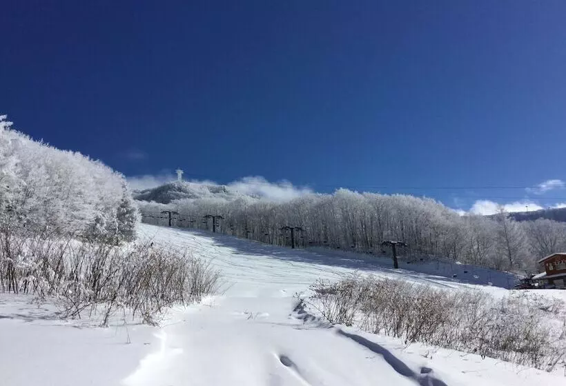 Hotelli Lodge Christmas Rose Zao