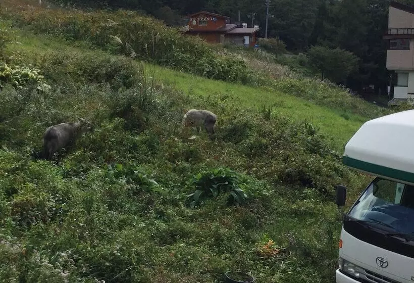 Hotelli Lodge Christmas Rose Zao