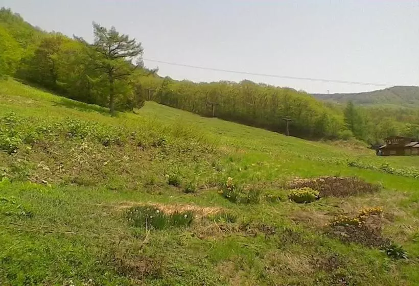 Hotelli Lodge Christmas Rose Zao