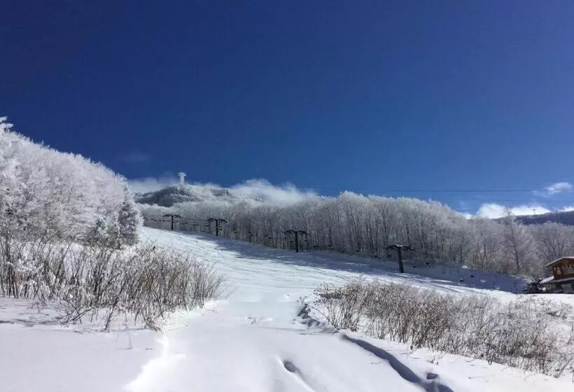 Hotelli Lodge Christmas Rose Zao