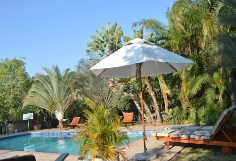 فندق Senate Boutique Camp   Campsite