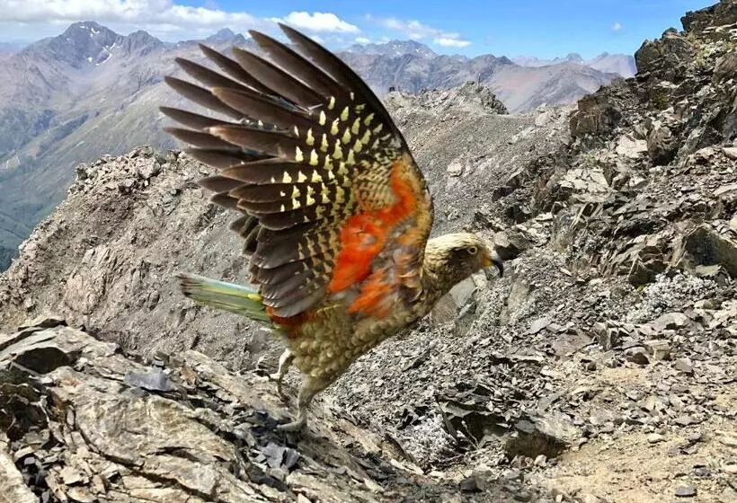 Arthur S Pass Motel & Lodge