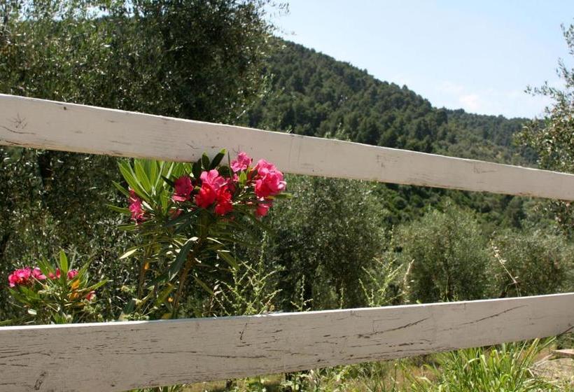 Agriturismo Affittacamere Atlhos Vieste